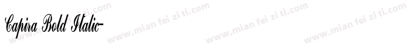 Capira Bold Italic字体转换